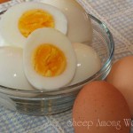 Eggs Peeled in Bowl copy