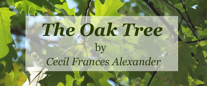 The Oak Tree by Cecil Frances Alexander