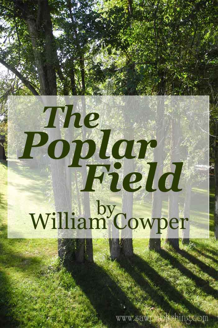 The Poplar Field