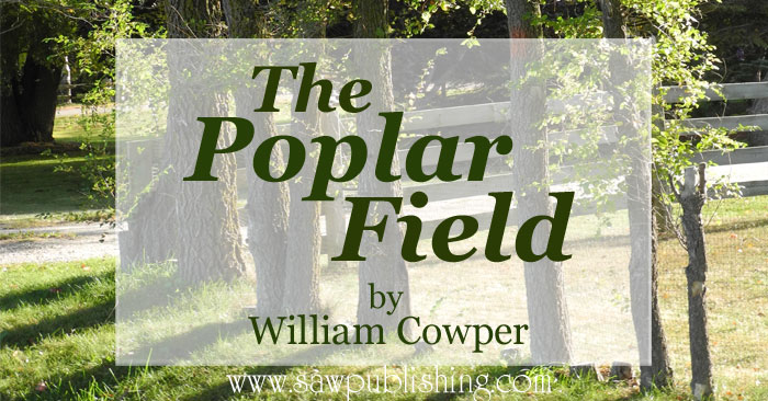 The Poplar Field