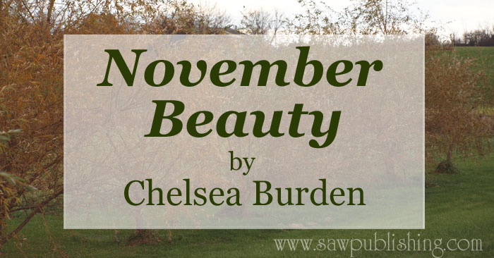 Why did I choose to title my poem "November Beauty?" When our heart is as grateful as it ought to be, we'll see everything as a blessing.