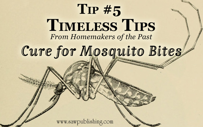 As we plunge into the midst of another mosquito season, this week’s Timeless Tip offers a chemical-free mosquito bite cure.