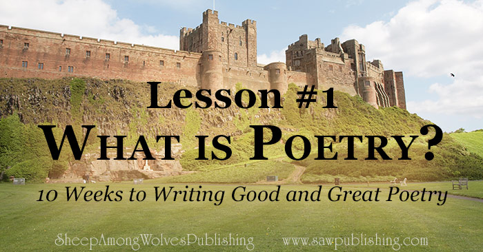 What is poetry? To say that a poem is defined by rhyme and meter, is to miss the essential quality which makes it poetry and not just rhyme.