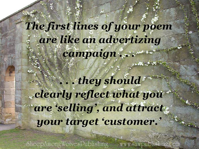 The first lines of your poem are like an advertizing campaign - they should clearly reflect what you are selling, and attract your target customer.