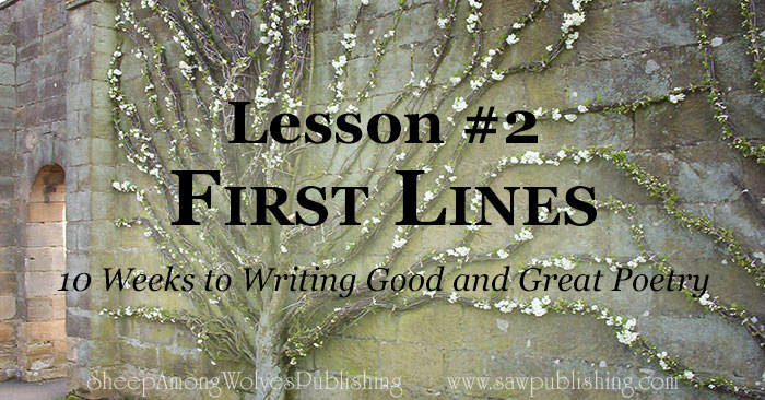 The first lines of your poem are like an advertizing campaign - they should clearly reflect what you are selling, and attract your target customer.