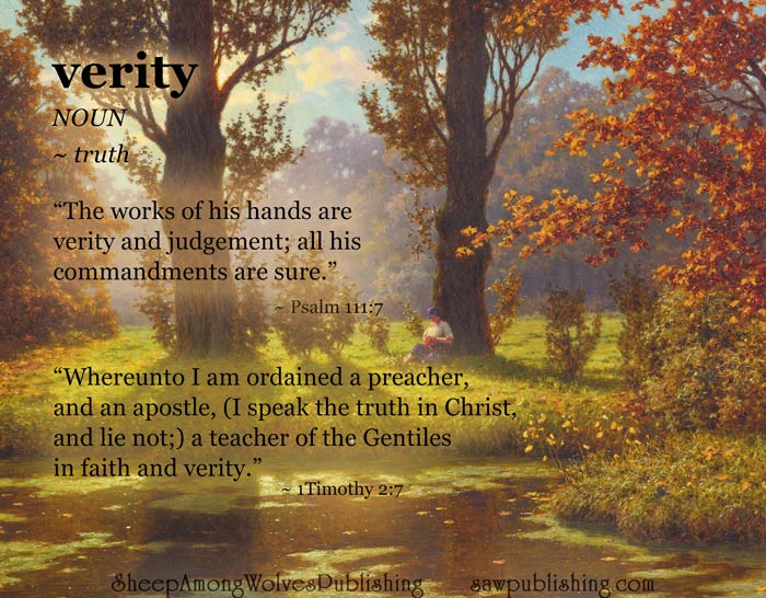 The Word of the Week Lesson #9 takes a look at Psalm 111:7 and 1 Timothy 2:7 as we explore the meaning of the word VERITY.