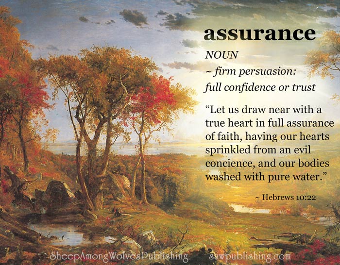 The Word of the Week Lesson #13 takes a look at Hebrews 10:22 as we explore the meaning of the word ASSURANCE.