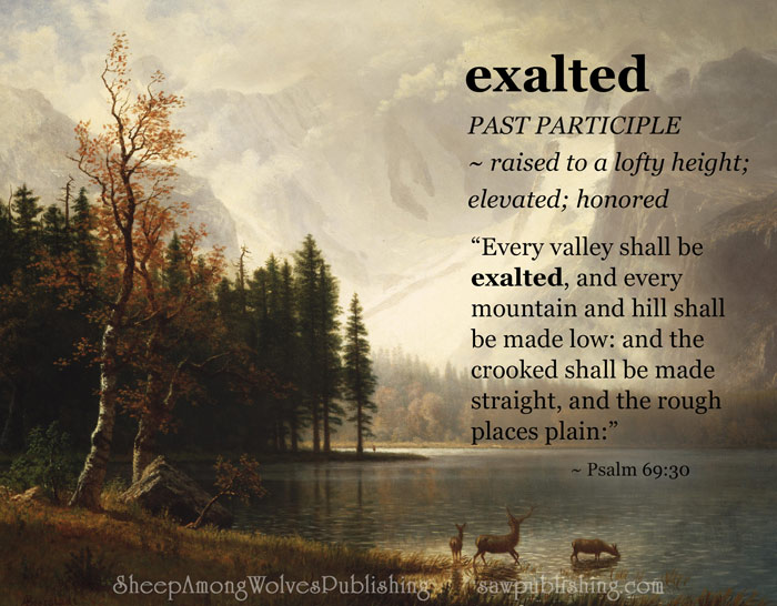 The Word of the Week Lesson #15 takes a look at Isaiah 40:4 as we explore the meaning of the word EXALTED.