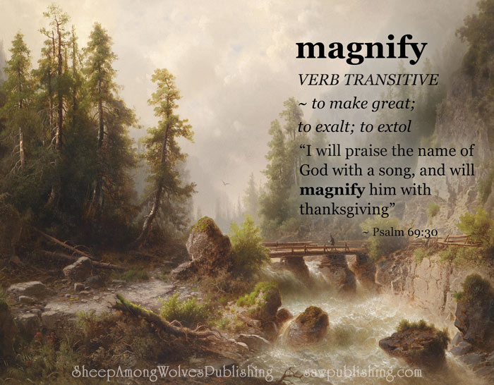 The Word of The Week Lesson #14 takes a look at Psalm 69:30 as we explore the meaning of the word MAGNIFY.