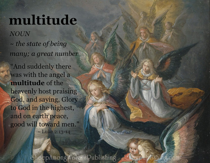 Word of the Week Lesson #17 - MULTITUDE