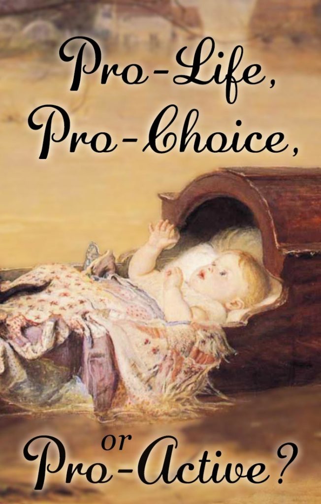 Pro-life, pro-choice, or pro-active? What stance will you take and how will it affect your decisions and actions in the stand for the life of the innocent?