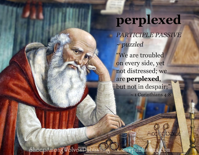 The Word of the Week Lesson #23 takes a look at 2 Corinthians 4:8 as we explore the meaning of the word PERPLEXED.