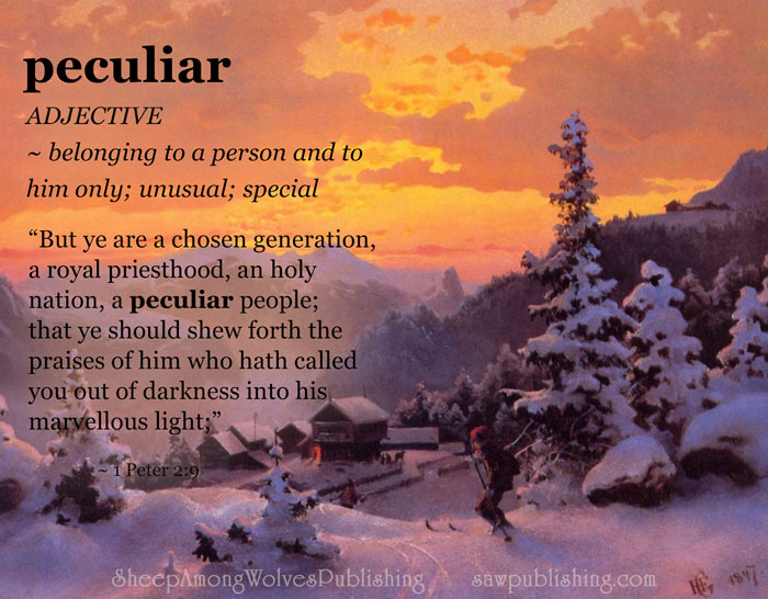 The Word of the Week Lesson #24 takes a look at 1 Peter 2:9 as we explore the meaning of the word PECULIAR.
