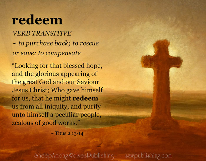 The Word of the Week Lesson #31 takes a look at Titus 2:13-14 as we explore the meaning of the word REDEEM.