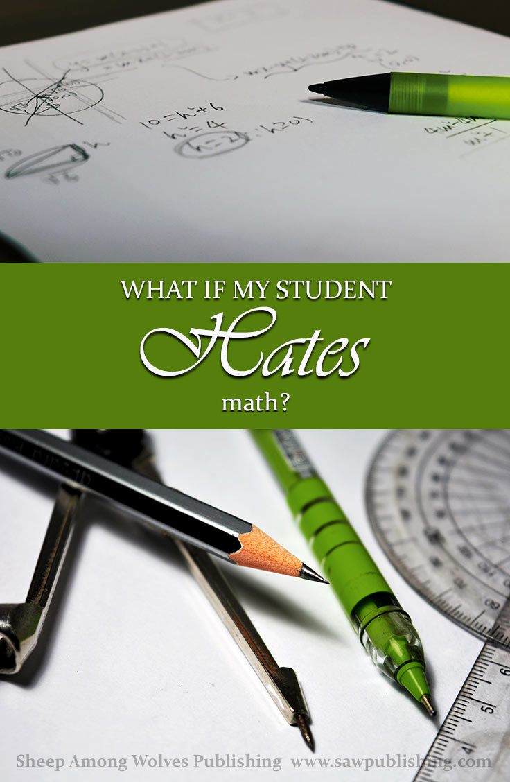 Math is a subject that all teachers want their students to do well at, but the truth of the matter is—sometimes your student hates it! So what do you do now?