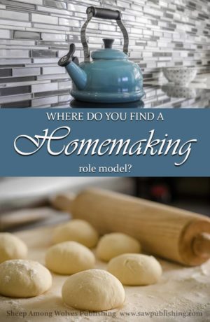 Have you ever felt like you desperately need a homemaking role model? Someone who is older, and wiser, and has done it all before? Timeless Tips from Homemakers of the Past offers a unique solution.