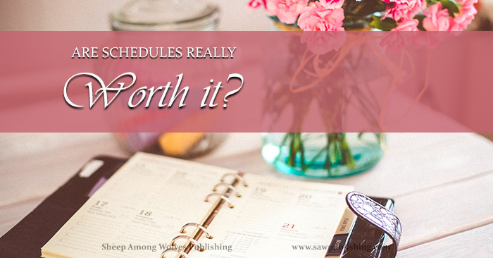 A truly effective schedule takes a lot of work to develop, and a lot of discipline to follow. Are schedules really worth it? Are they really worth it for YOU?