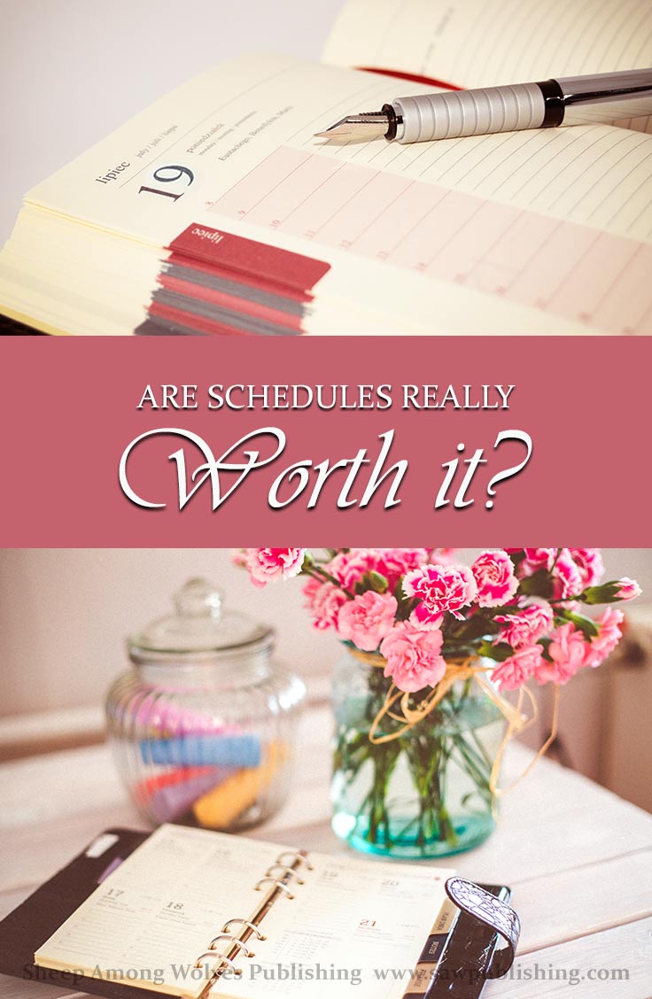 A truly effective schedule takes a lot of work to develop, and a lot of discipline to follow. Are schedules really worth it? Are they really worth it for YOU?