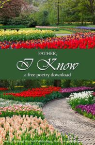 Do you find your highest aspirations lost in the everyday-ness of life? This FREE poetry download will challenge you to look at your daily world in a new and more beautiful way.