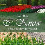 Do you find your highest aspirations lost in the everyday-ness of life? This FREE poetry download will challenge you to look at your daily world in a new and more beautiful way.