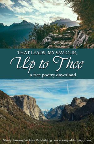 What do you visualize when you hear another Christian speak of the path “that leads, my Saviour, up to Thee”? 19th century poet Harriet Mozley offers a unique perspective.