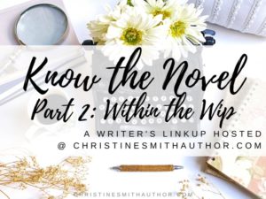 From a general writing report, to the best-and-worst of the month, to a behind-the-scenes peek at my personal writing routine, Know the Novel gives a little glimpse into the first draft of my current Work in Progress.