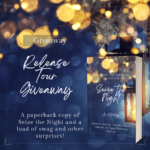 Seize the Night is a Christmas short story collection, featuring eight Christian authors who are passionate about honoring the birth of the Savior.