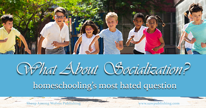 Somehow, the socialization debate can be the one that gets most easily under our homeschooling skin. So why does this question bug us to much? And it is there still a way to answer it with grace?