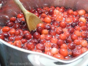 Are you looking for a child friendly Thanksgiving project? Today’s Timeless Tip from Homemakers of the Past highlights the perfect historical recipe for cranberry sauce.