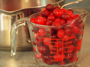 Are you looking for a child friendly Thanksgiving project? Today’s Timeless Tip from Homemakers of the Past highlights the perfect historical recipe for cranberry sauce.