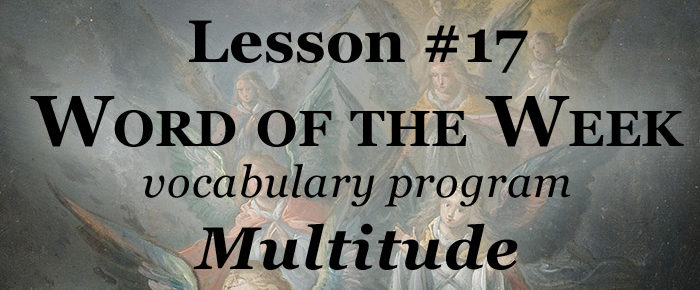 Word of the Week Lesson #17 – MULTITUDE