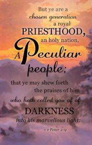 The Word of the Week Lesson #24 takes a look at 1 Peter 2:9 as we explore the meaning of the word PECULIAR.