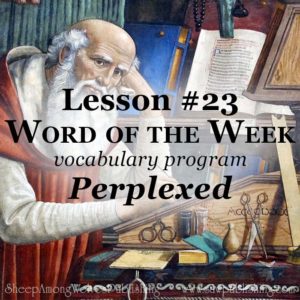 The Word of the Week Lesson #23 takes a look at 2 Corinthians 4:8 as we explore the meaning of the word PERPLEXED.