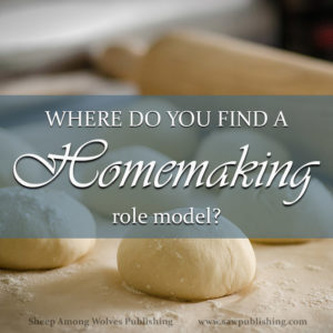 Have you ever felt like you desperately need a homemaking role model? Someone who is older, and wiser, and has done it all before? Timeless Tips from Homemakers of the Past offers a unique solution.