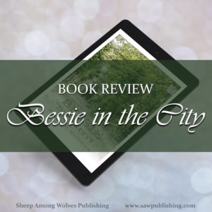 Bessie in the City is the story of two New York girls who are wild to send a gift to the “little log-cabin children” of the western frontier. Will they be able to earn the huge sum in time?