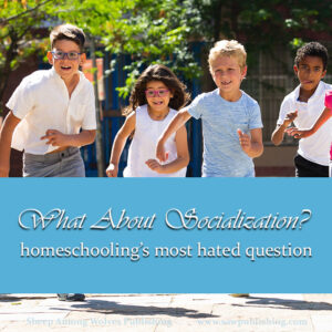 Somehow, the socialization debate can be the one that gets most easily under our homeschooling skin. So why does this question bug us to much? And it is there still a way to answer it with grace?